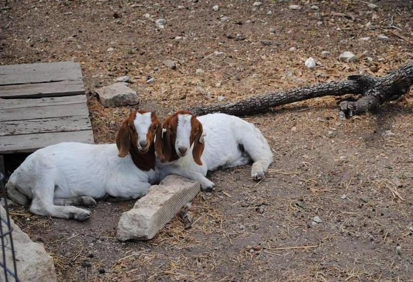 مبيت وإفطار Last Outpost Bandera Ranch House