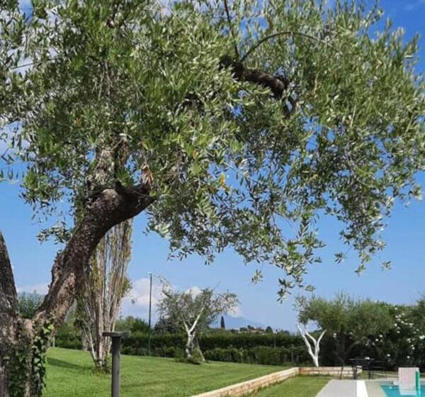 Bed and Breakfast Villa Athena Charme