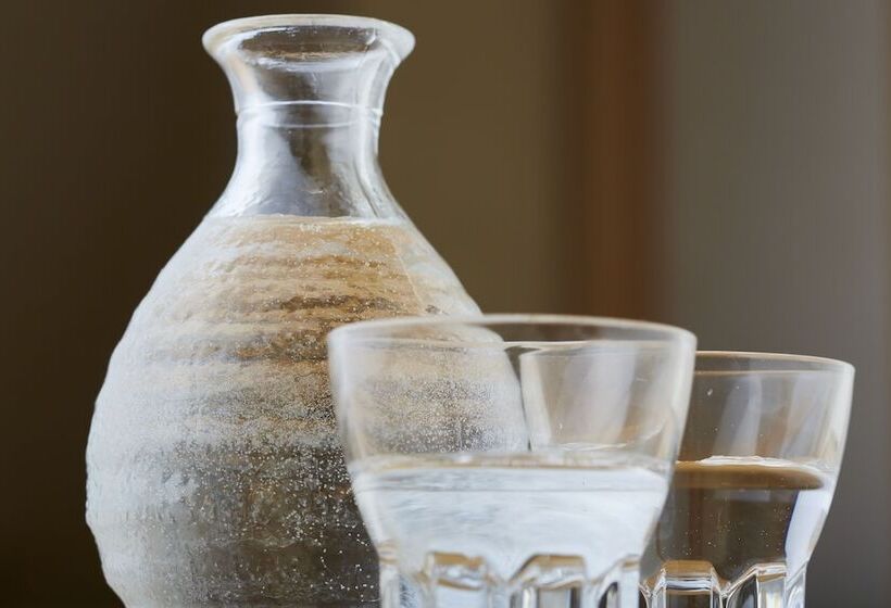 فندق Vischio Toyama