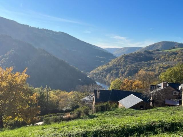 Pension Le Mas Des Vignes