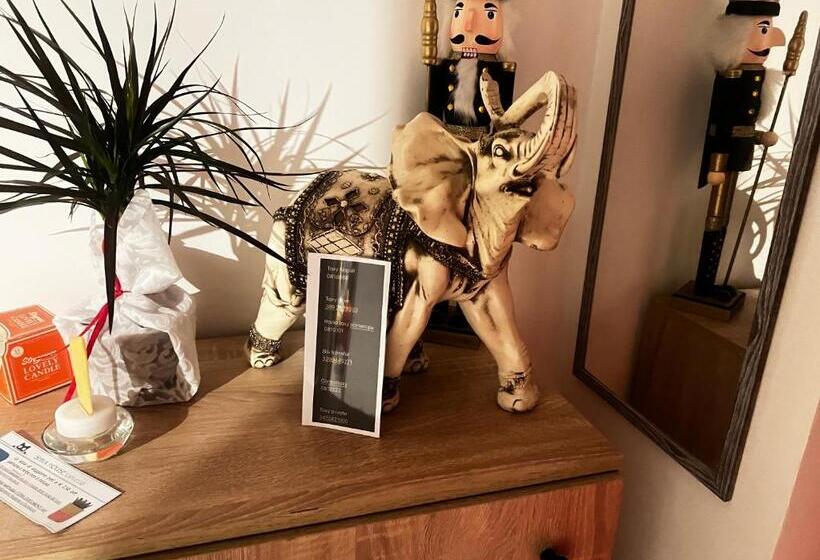 پانسیون Shiva House