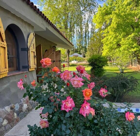Hostel Terra Campo Posada