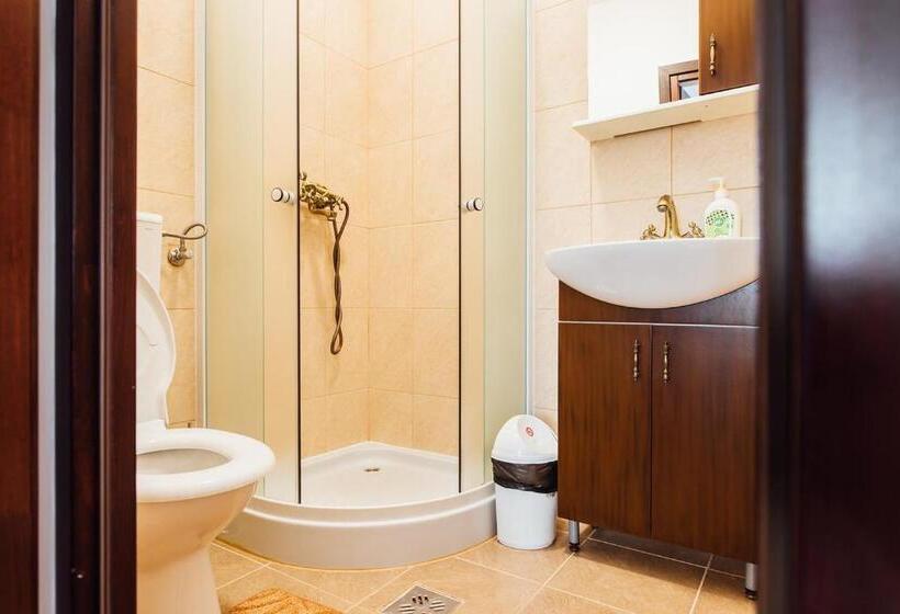 تختخواب و صبحانه Guesthouse Viktoria Pensiune