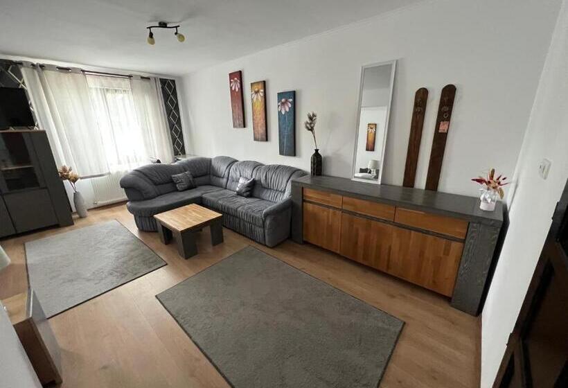 تختخواب و صبحانه Guesthouse Viktoria Pensiune