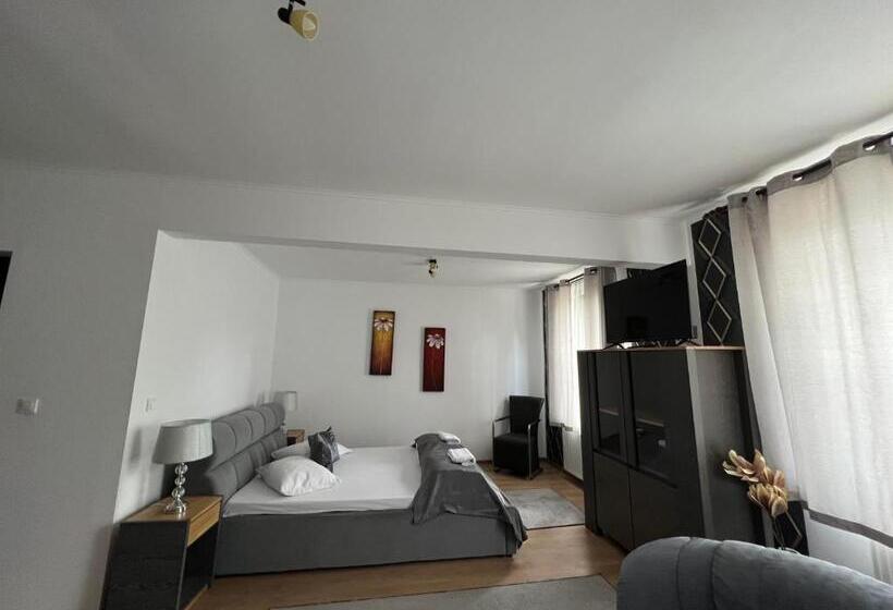 تختخواب و صبحانه Guesthouse Viktoria Pensiune