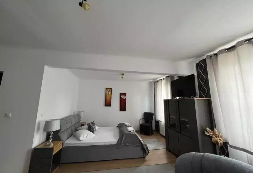 ベッドアンドブレックファースト Guesthouse Viktoria Pensiune