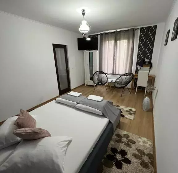 ベッドアンドブレックファースト Guesthouse Viktoria Pensiune