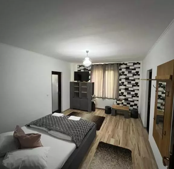 ベッドアンドブレックファースト Guesthouse Viktoria Pensiune