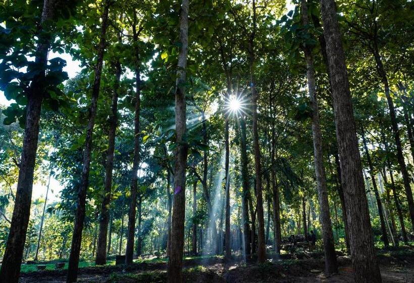 Bed and Breakfast Vanajyotsna Forest Home