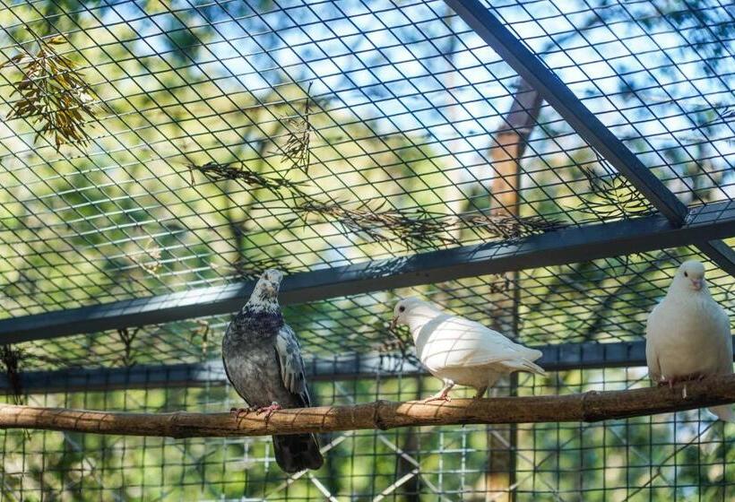 Bed and Breakfast Vanajyotsna Forest Home