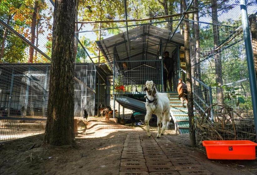 Bed and Breakfast Vanajyotsna Forest Home