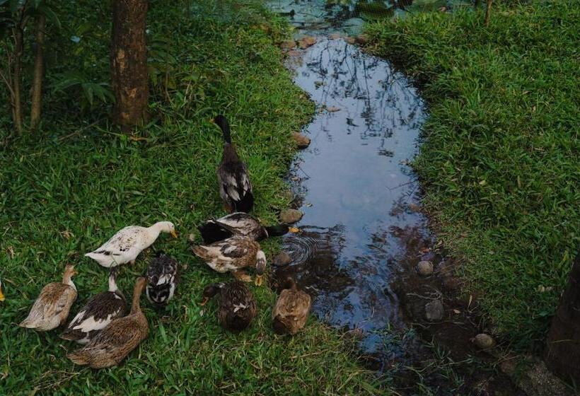 Bed and Breakfast Vanajyotsna Forest Home