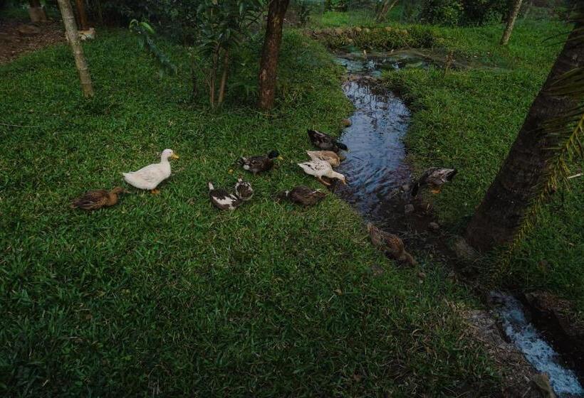 Bed and Breakfast Vanajyotsna Forest Home