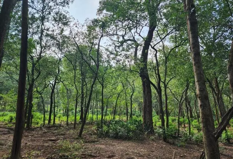 Aamiaismajoitus (B&B) Vanajyotsna Forest Home