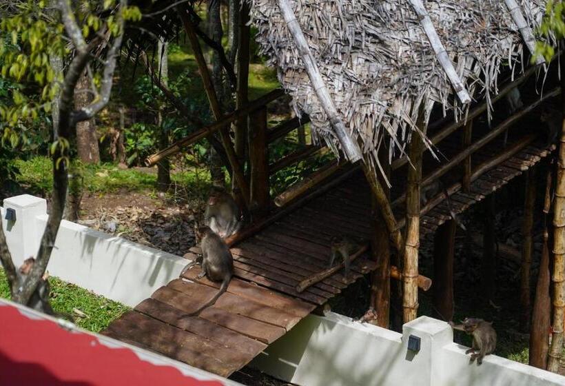 Bed and Breakfast Vanajyotsna Forest Home