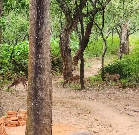 Aamiaismajoitus (B&B) Vanajyotsna Forest Home