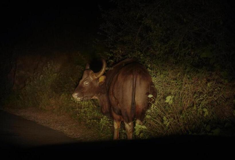 Bed and Breakfast Vanajyotsna Forest Home