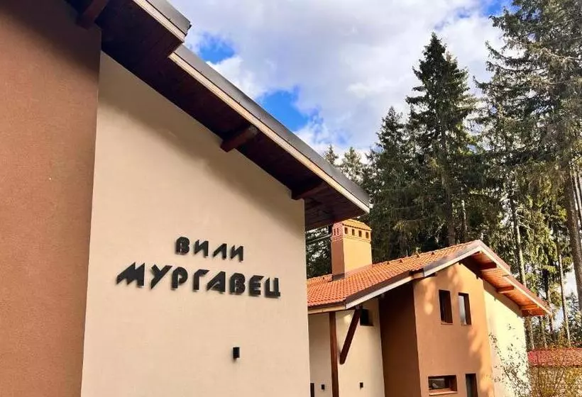 Boutique Villas Murgavets Pamporovo