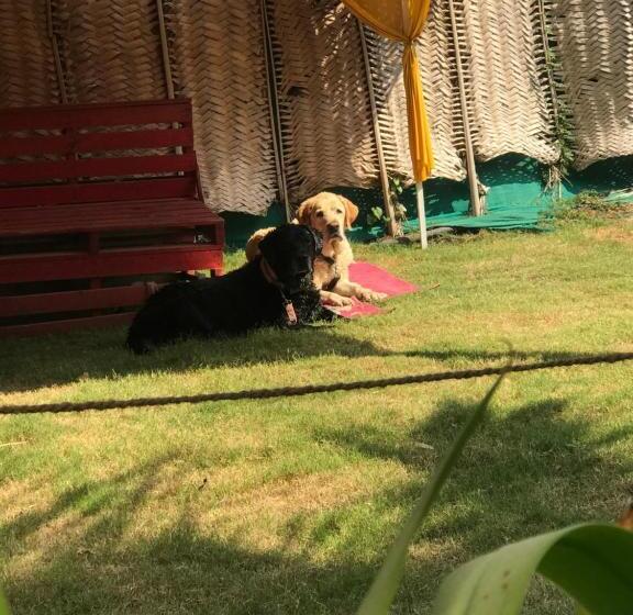 호텔 Ingawale Farmhouse