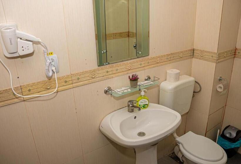 هتل Occidental Wise Transit