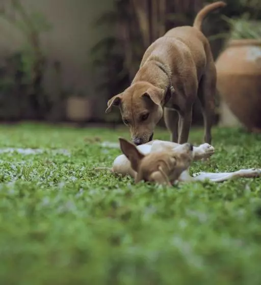 Hotelli The Yard Hiriketiya