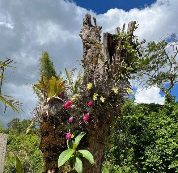 Majatalo Casa Da Pedra Ibitipoca