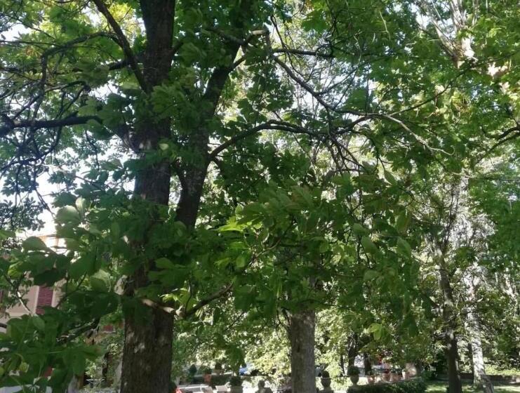 تختخواب و صبحانه Suite Le Quervalat Dans Magnifique Bastide 18eme