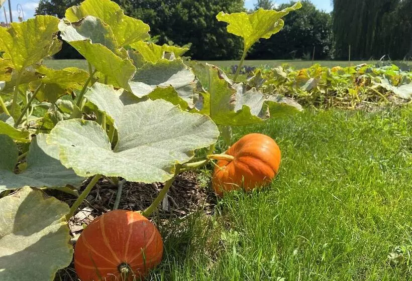 Hotelli Hôtel Le Prieuré