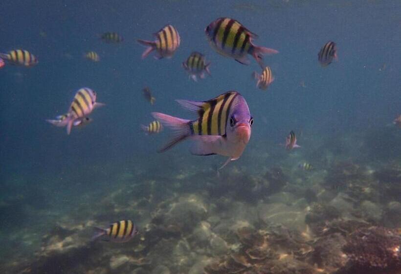 Pensão Baan Sikhao Yanui