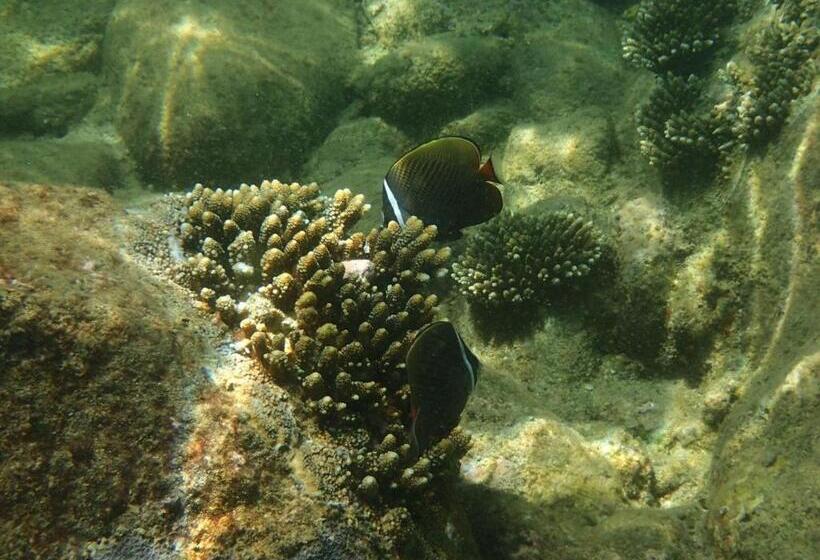 Pensão Baan Sikhao Yanui