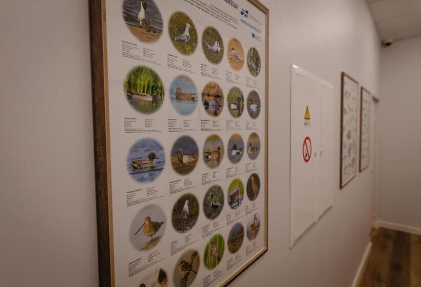 پانسیون Birch Alley Self Check In