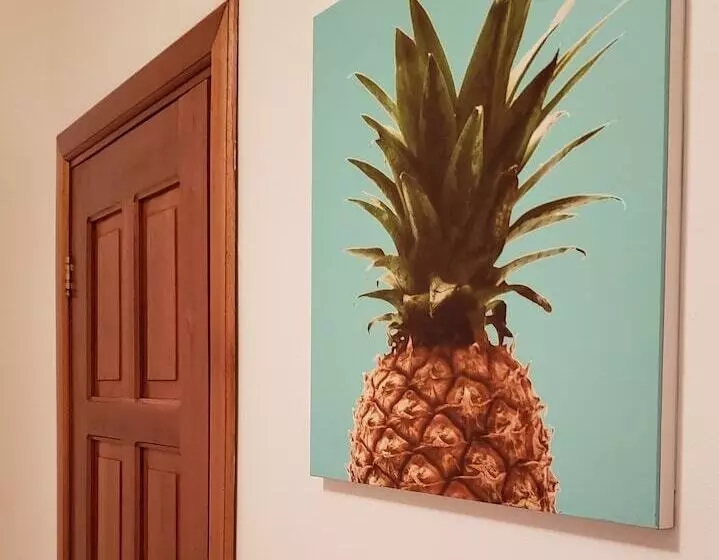 پانسیون Pineapple House