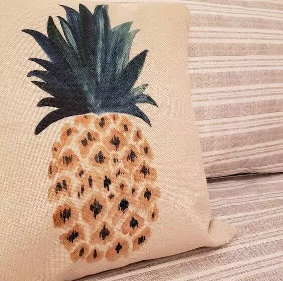 پانسیون Pineapple House