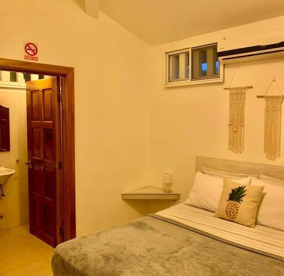 پانسیون Pineapple House