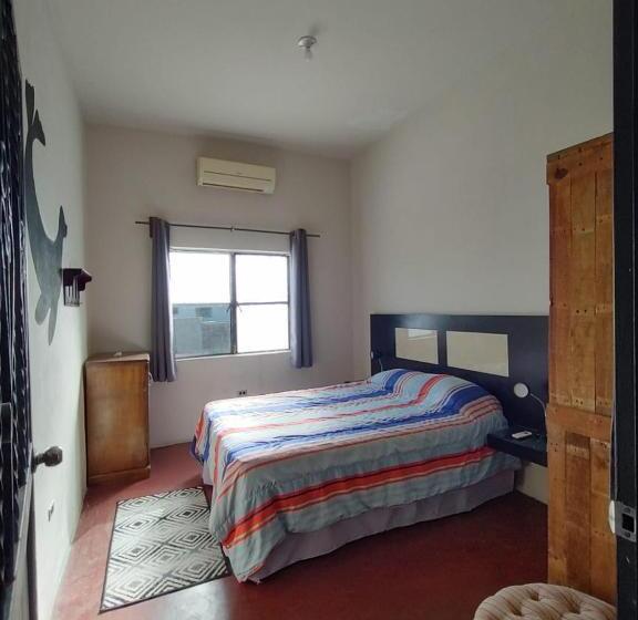 ペンション Sunset Hostel   Centro