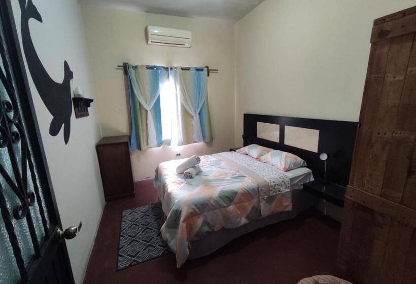 ペンション Sunset Hostel   Centro