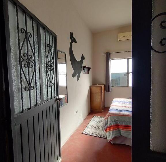 ペンション Sunset Hostel   Centro