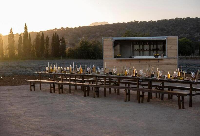 The Lodge Mallorca, Small Luxury Hotels