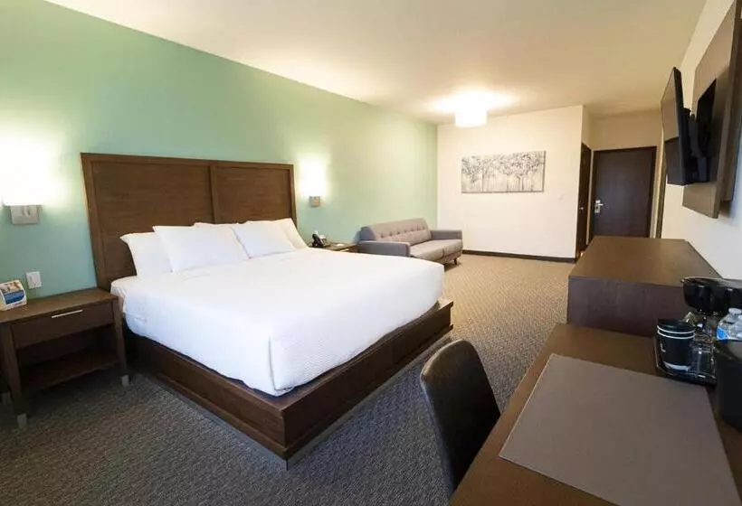 ユースホステル Comfort Inn Ciudad Juarez
