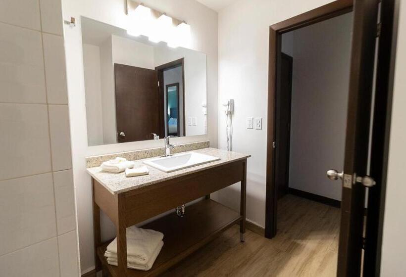 فندق صغير Comfort Inn Ciudad Juarez