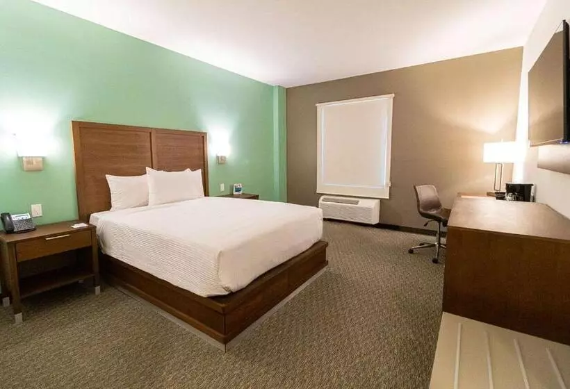 ユースホステル Comfort Inn Ciudad Juarez