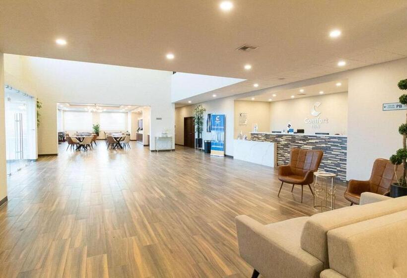 فندق صغير Comfort Inn Ciudad Juarez