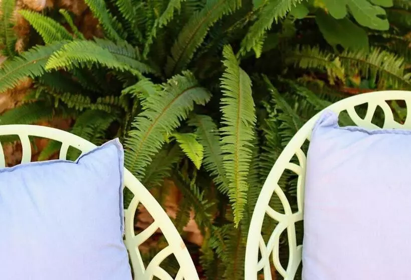 ベッドアンドブレックファースト Boutique Hotel El Capricho