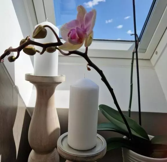 Aamiaismajoitus (B&B) Hillvine