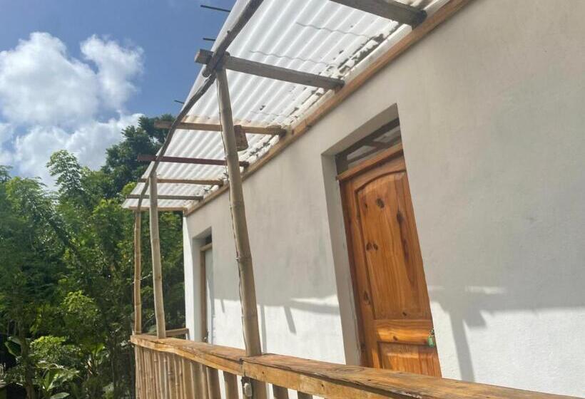 تختخواب و صبحانه Salvaje Rooms&restaurant