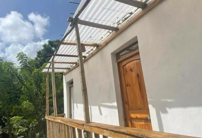 تختخواب و صبحانه Salvaje Rooms&restaurant