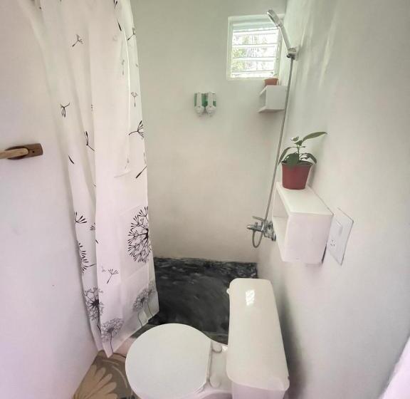 تختخواب و صبحانه Salvaje Rooms&restaurant