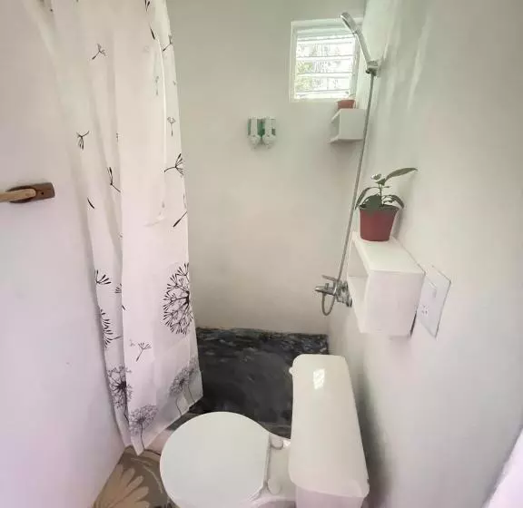 تختخواب و صبحانه Salvaje Rooms&restaurant