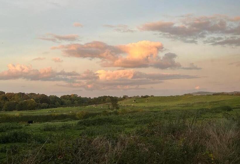 ペンション Clara Lodge