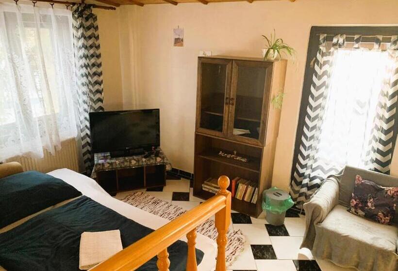 ペンション Penzión Alex